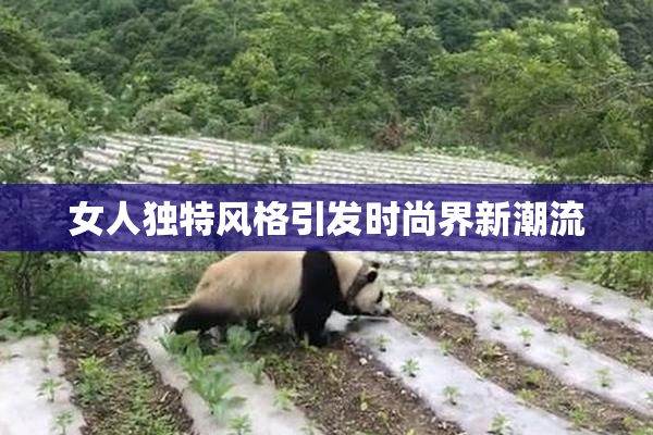女人独特风格引发时尚界新潮流