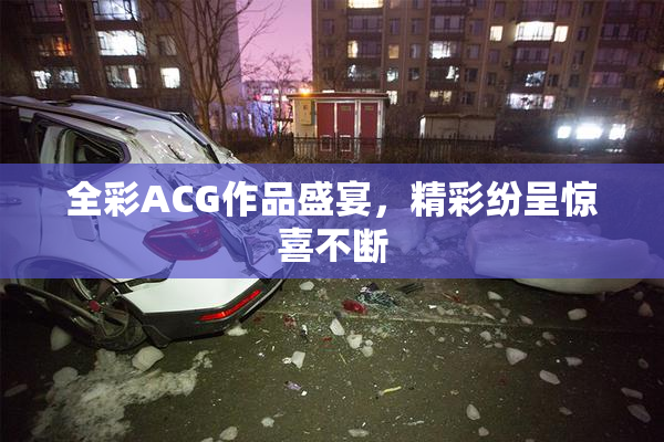 全彩ACG作品盛宴，精彩纷呈惊喜不断