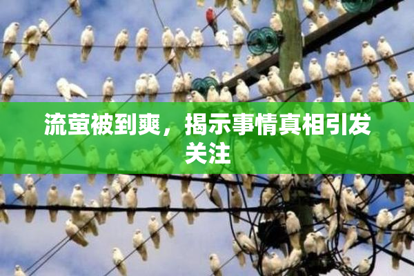 流萤被到爽，揭示事情真相引发关注