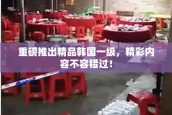 重磅推出精品韩国一级，精彩内容不容错过！