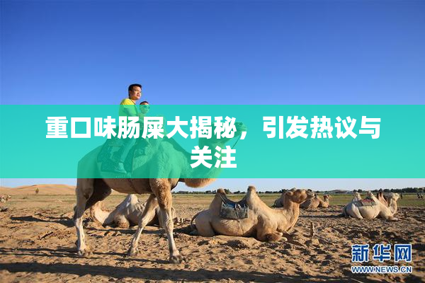 重口味肠屎大揭秘，引发热议与关注