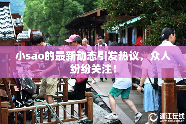 小sao的最新动态引发热议，众人纷纷关注！