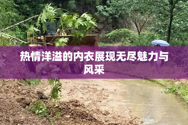 热情洋溢的内衣展现无尽魅力与风采