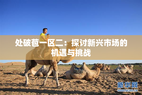 处破苞一区二：探讨新兴市场的机遇与挑战