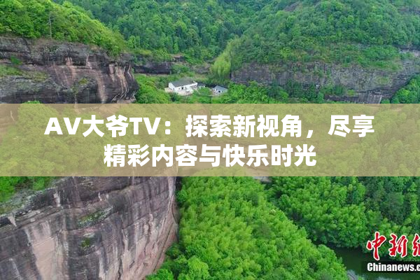 AV大爷TV：探索新视角，尽享精彩内容与快乐时光