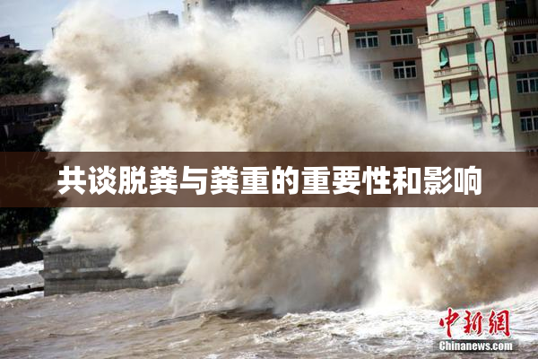 共谈脱粪与粪重的重要性和影响