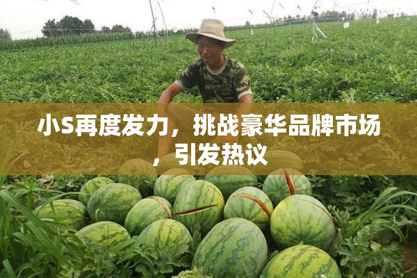 小S再度发力，挑战豪华品牌市场，引发热议