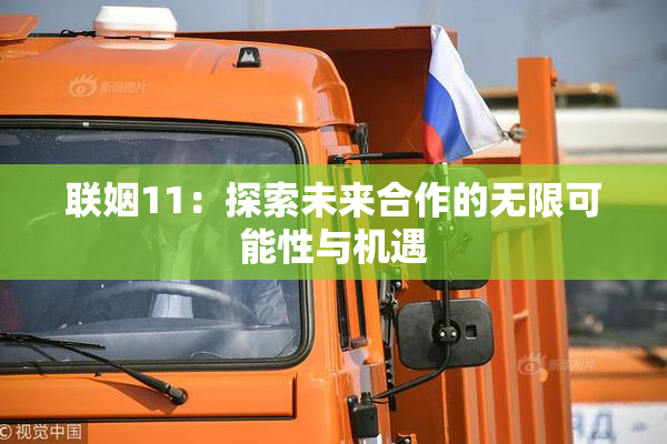 联姻11：探索未来合作的无限可能性与机遇