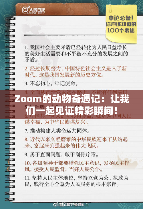Zoom的动物奇遇记：让我们一起见证精彩瞬间！