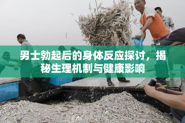 男士勃起后的身体反应探讨，揭秘生理机制与健康影响