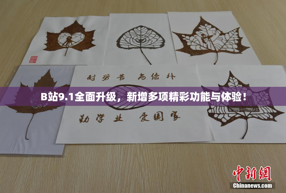 B站9.1全面升级，新增多项精彩功能与体验！