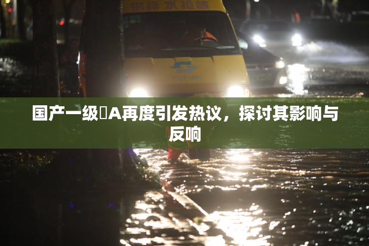 国产一级婬A再度引发热议，探讨其影响与反响