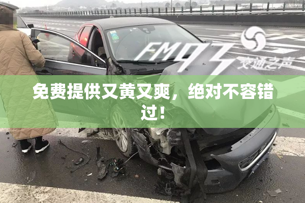 免费提供又黄又爽，绝对不容错过！