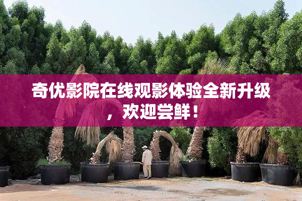 奇优影院在线观影体验全新升级，欢迎尝鲜！