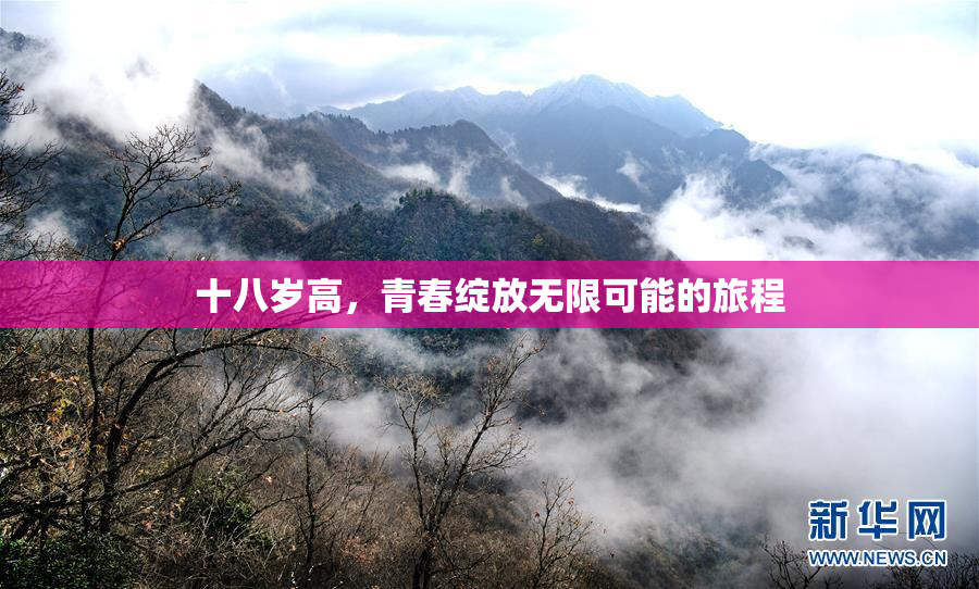十八岁高，青春绽放无限可能的旅程