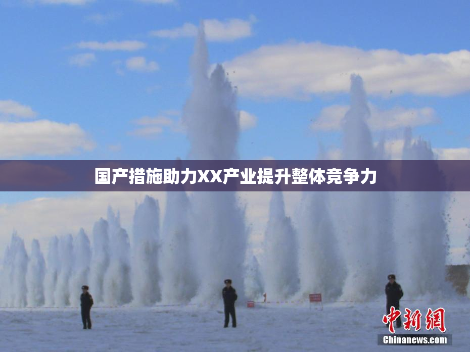 国产措施助力XX产业提升整体竞争力