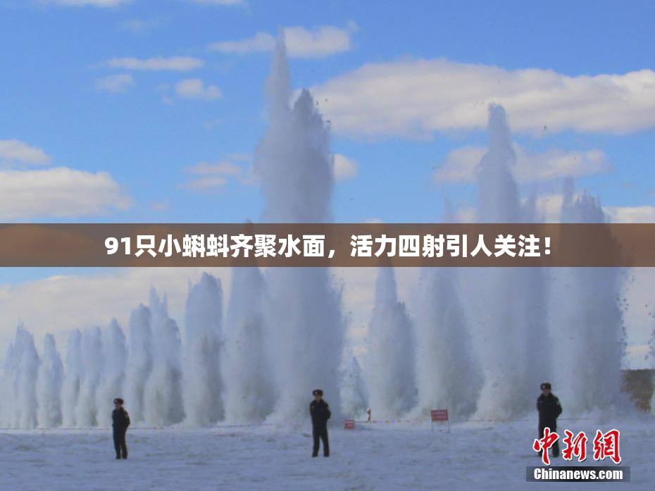 91只小蝌蚪齐聚水面，活力四射引人关注！
