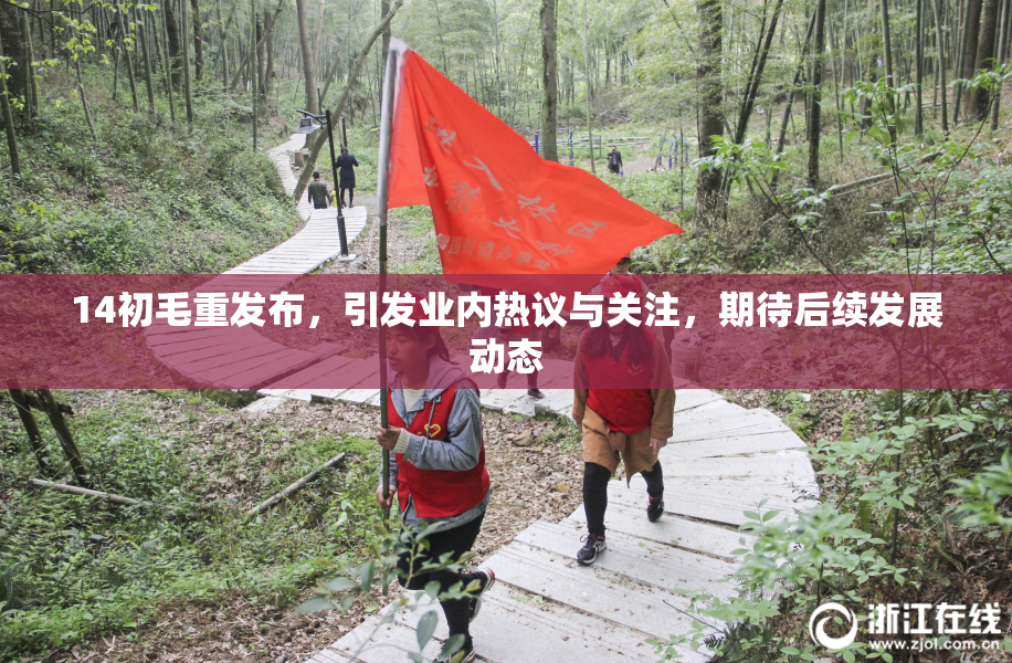 14初毛重发布，引发业内热议与关注，期待后续发展动态