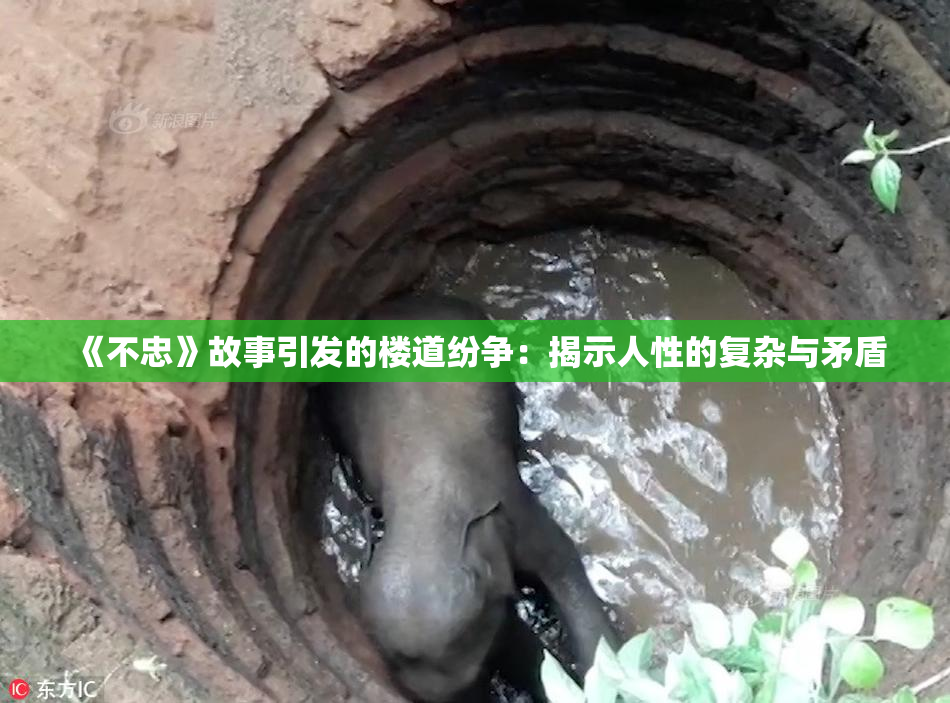 《不忠》故事引发的楼道纷争：揭示人性的复杂与矛盾