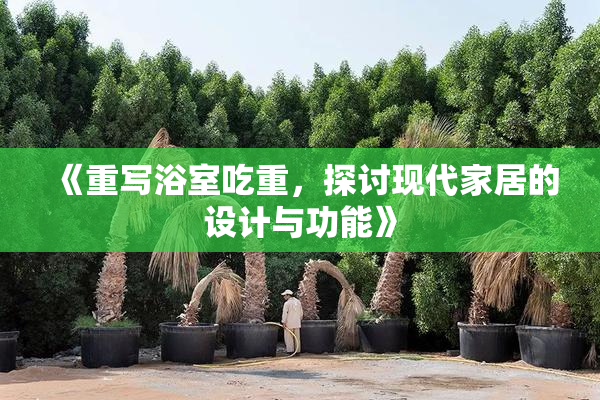 《重写浴室吃重，探讨现代家居的设计与功能》