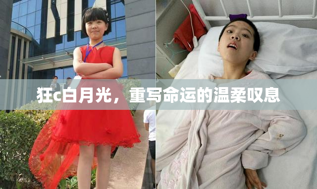 狂c白月光，重写命运的温柔叹息