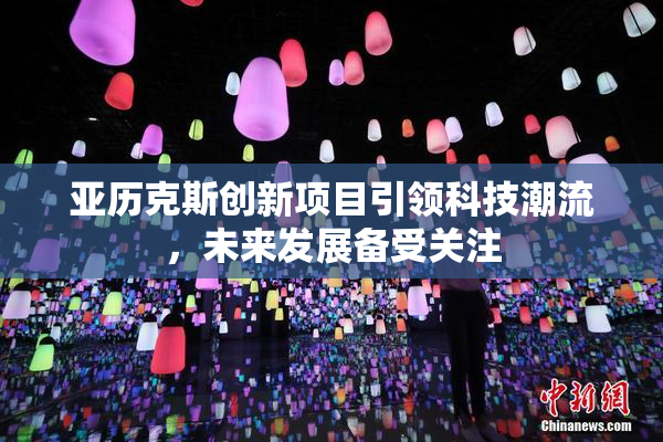 亚历克斯创新项目引领科技潮流，未来发展备受关注