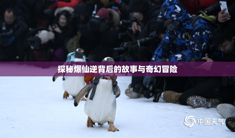 探秘爆仙逆背后的故事与奇幻冒险