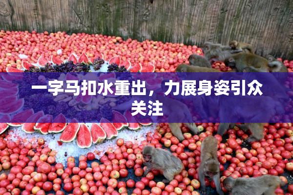 一字马扣水重出，力展身姿引众关注