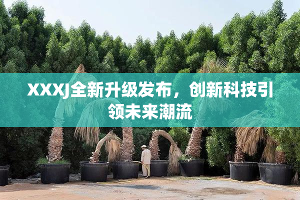 XXXJ全新升级发布，创新科技引领未来潮流