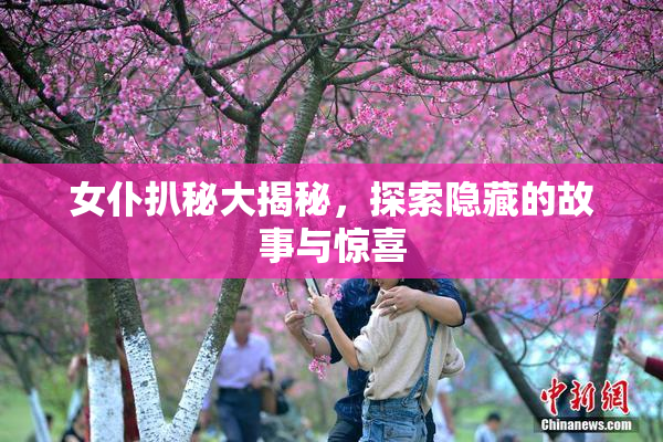 女仆扒秘大揭秘，探索隐藏的故事与惊喜