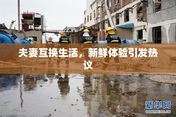 夫妻互换生活，新鲜体验引发热议