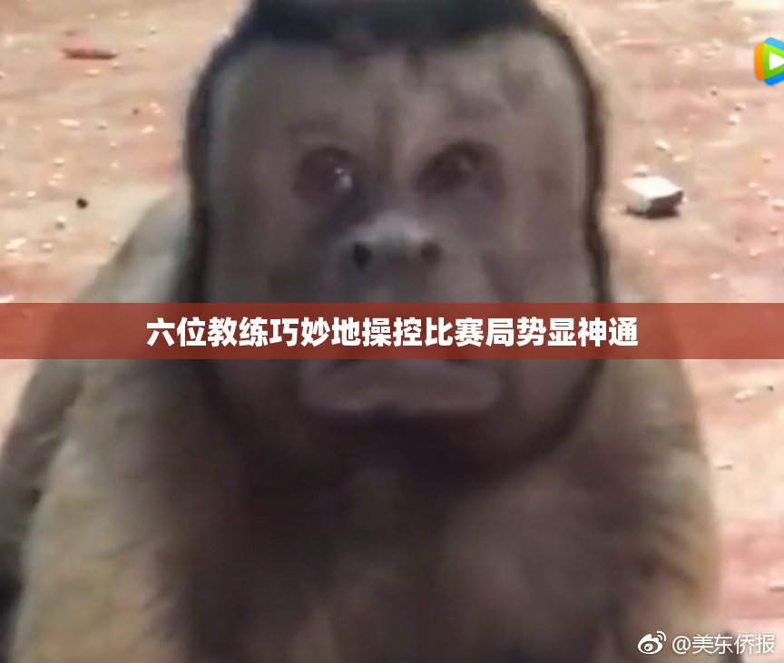 六位教练巧妙地操控比赛局势显神通