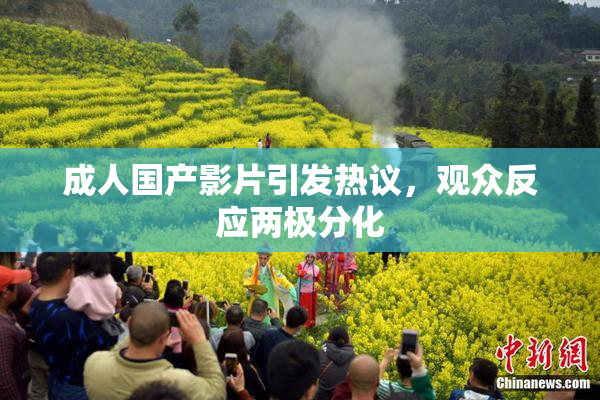 成人国产影片引发热议，观众反应两极分化