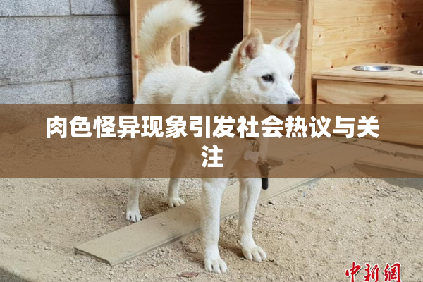 肉色怪异现象引发社会热议与关注