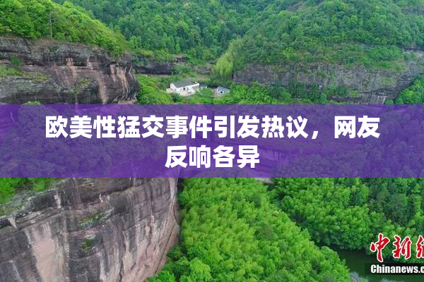 欧美性猛交事件引发热议，网友反响各异