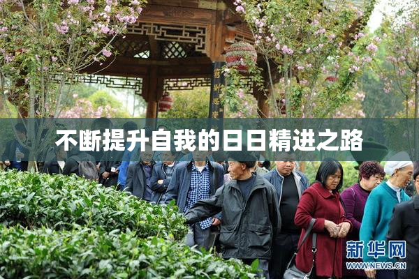 不断提升自我的日日精进之路