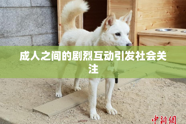 成人之间的剧烈互动引发社会关注