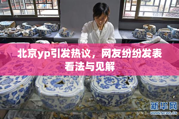北京yp引发热议，网友纷纷发表看法与见解