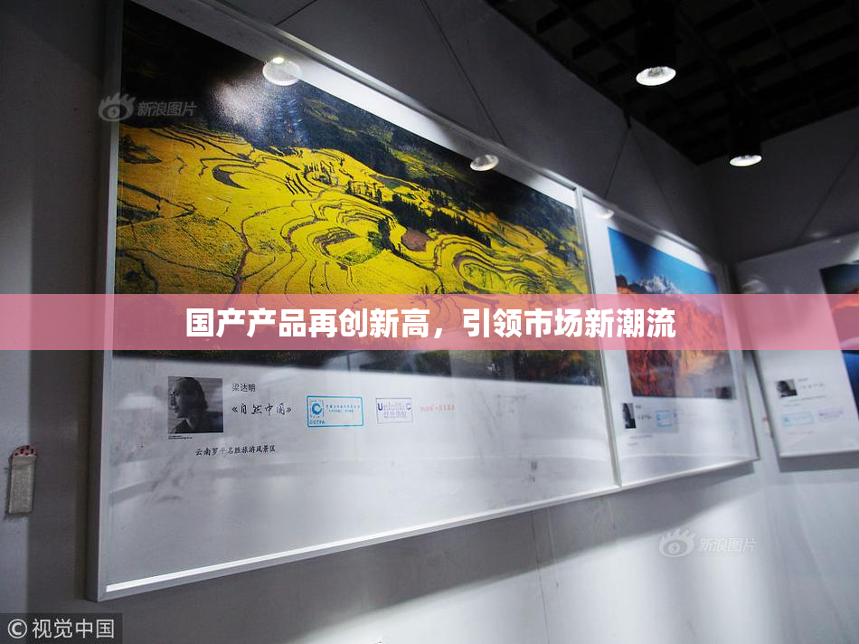 国产产品再创新高，引领市场新潮流