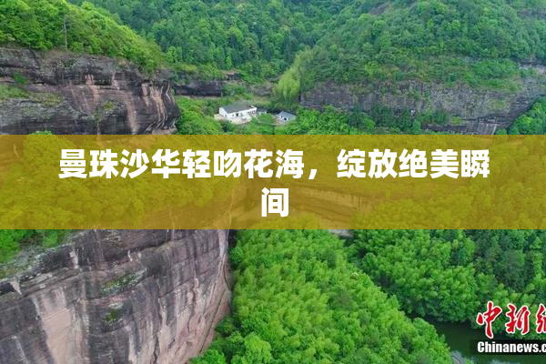 曼珠沙华轻吻花海，绽放绝美瞬间