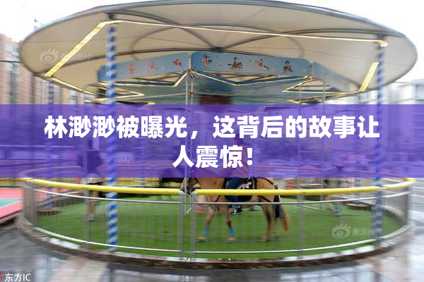 林渺渺被曝光，这背后的故事让人震惊！