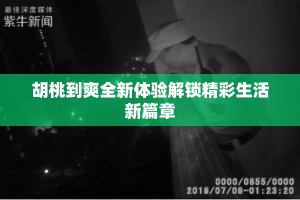 胡桃到爽全新体验解锁精彩生活新篇章