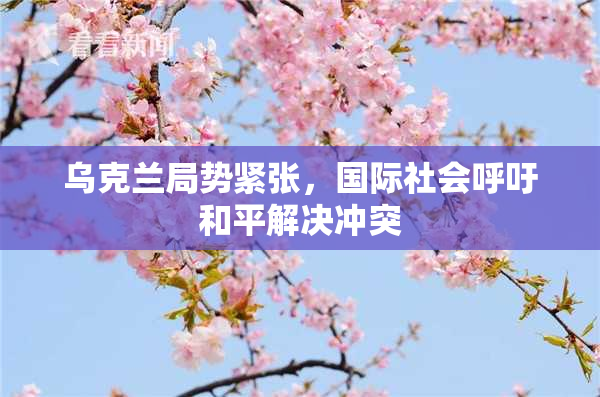 乌克兰局势紧张，国际社会呼吁和平解决冲突
