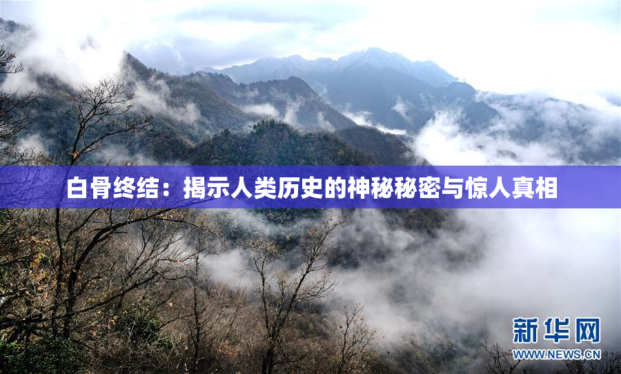 白骨终结：揭示人类历史的神秘秘密与惊人真相
