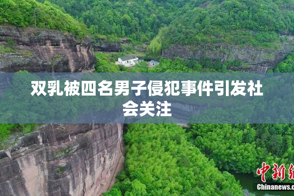双乳被四名男子侵犯事件引发社会关注