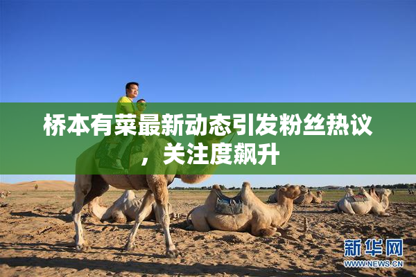 桥本有菜最新动态引发粉丝热议，关注度飙升