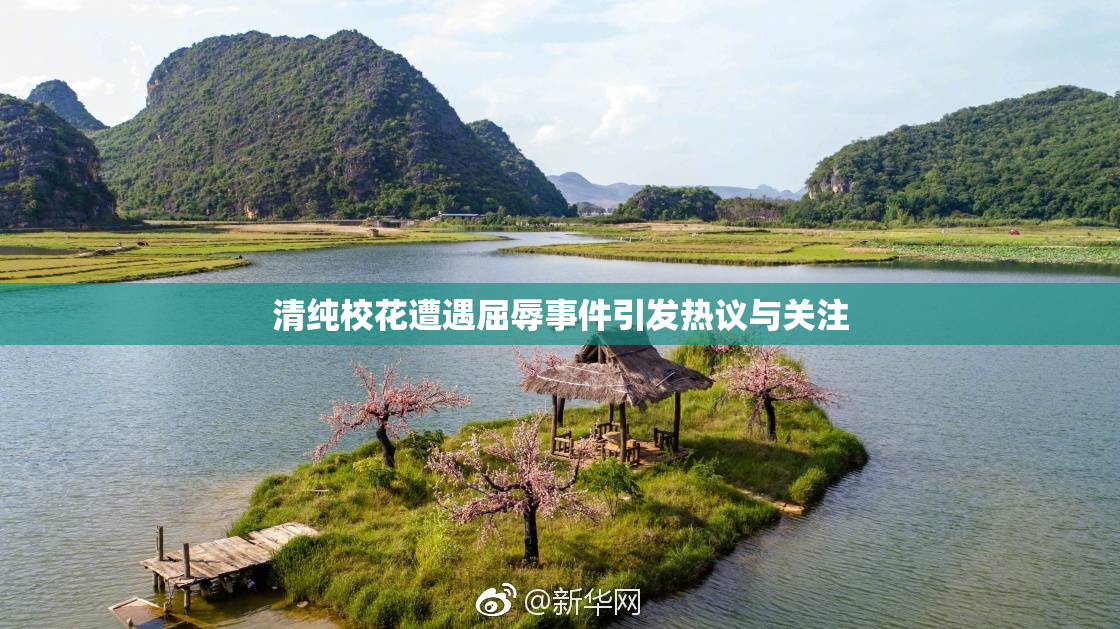 清纯校花遭遇屈辱事件引发热议与关注