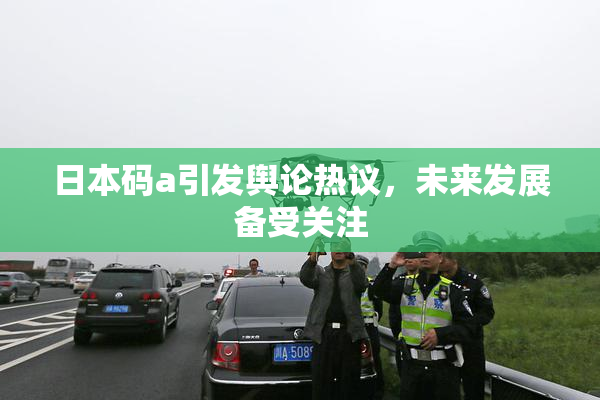 日本码a引发舆论热议，未来发展备受关注