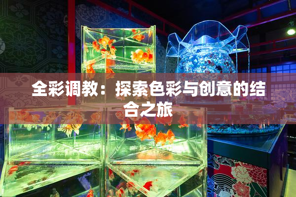 全彩调教：探索色彩与创意的结合之旅