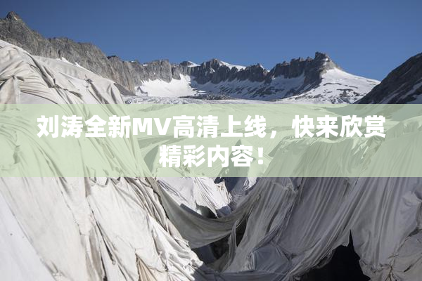 刘涛全新MV高清上线，快来欣赏精彩内容！
